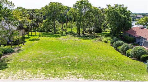 12920 Ventana Court Dade City FL 33523