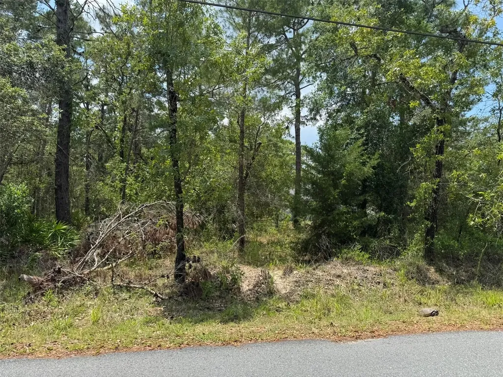 Lot 62 Michigan Avenue Weeki Wachee FL 34613
