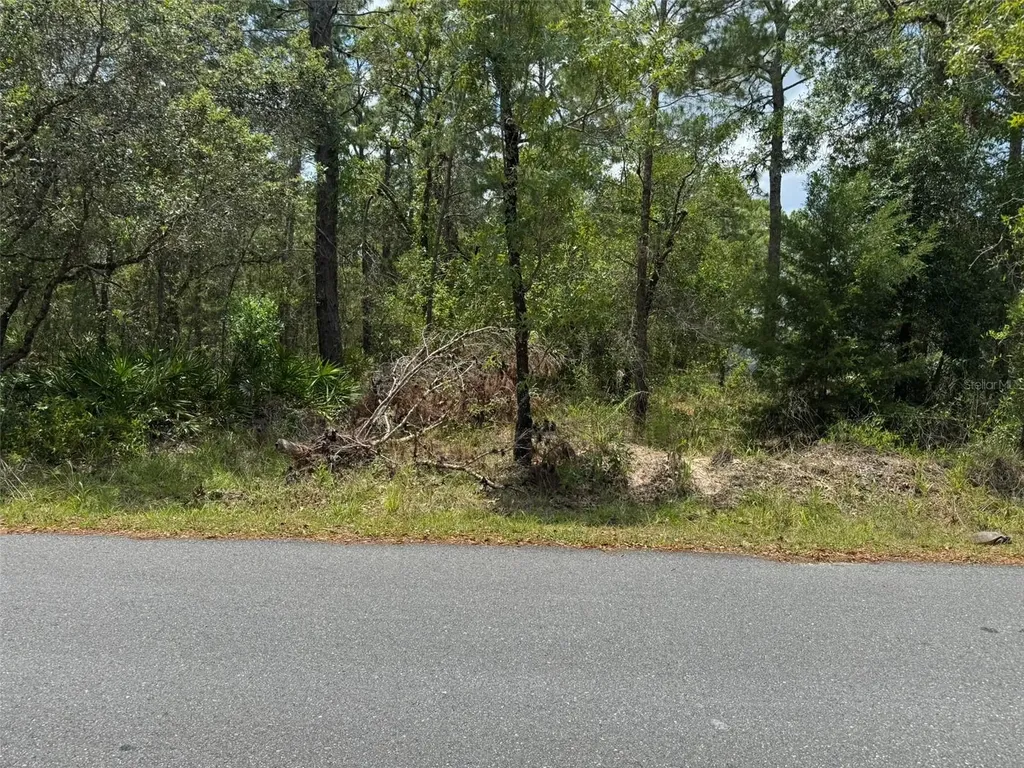 Lot 62 Michigan Avenue Weeki Wachee FL 34613