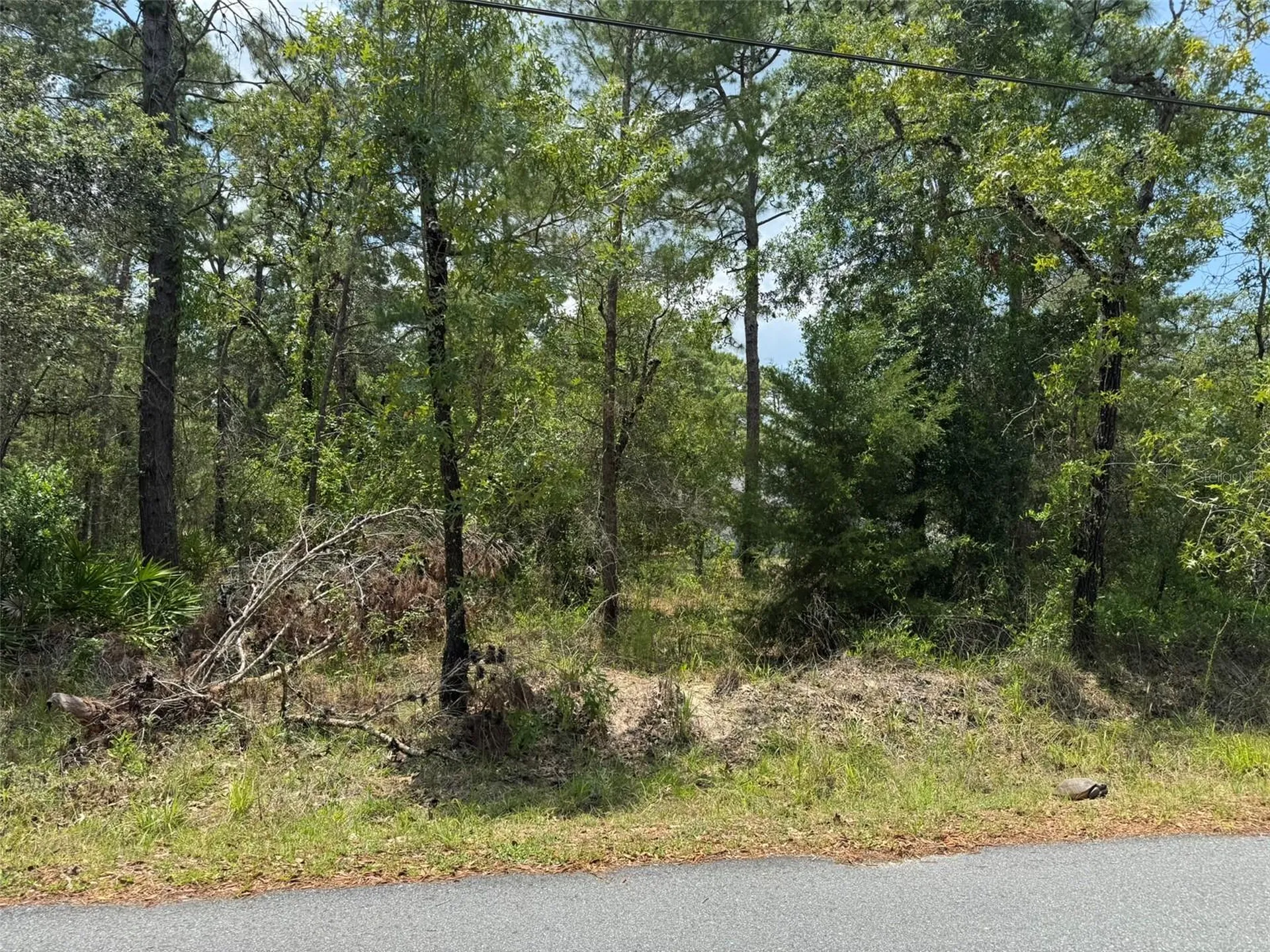 Lot 62 Michigan Avenue Weeki Wachee FL 34613