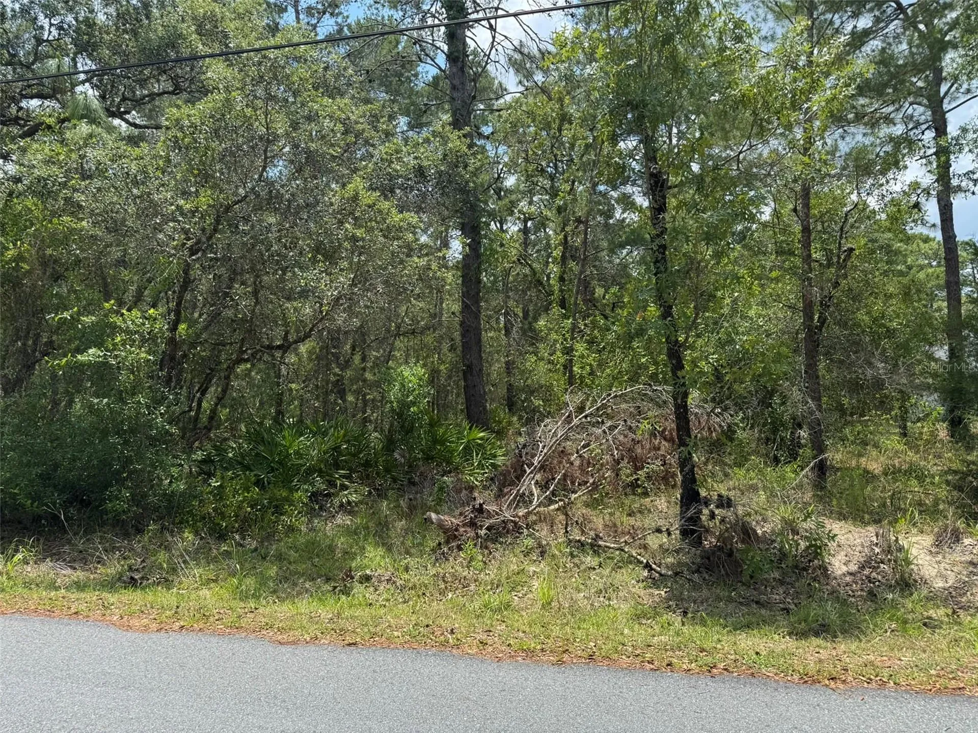Lot 62 Michigan Avenue Weeki Wachee FL 34613