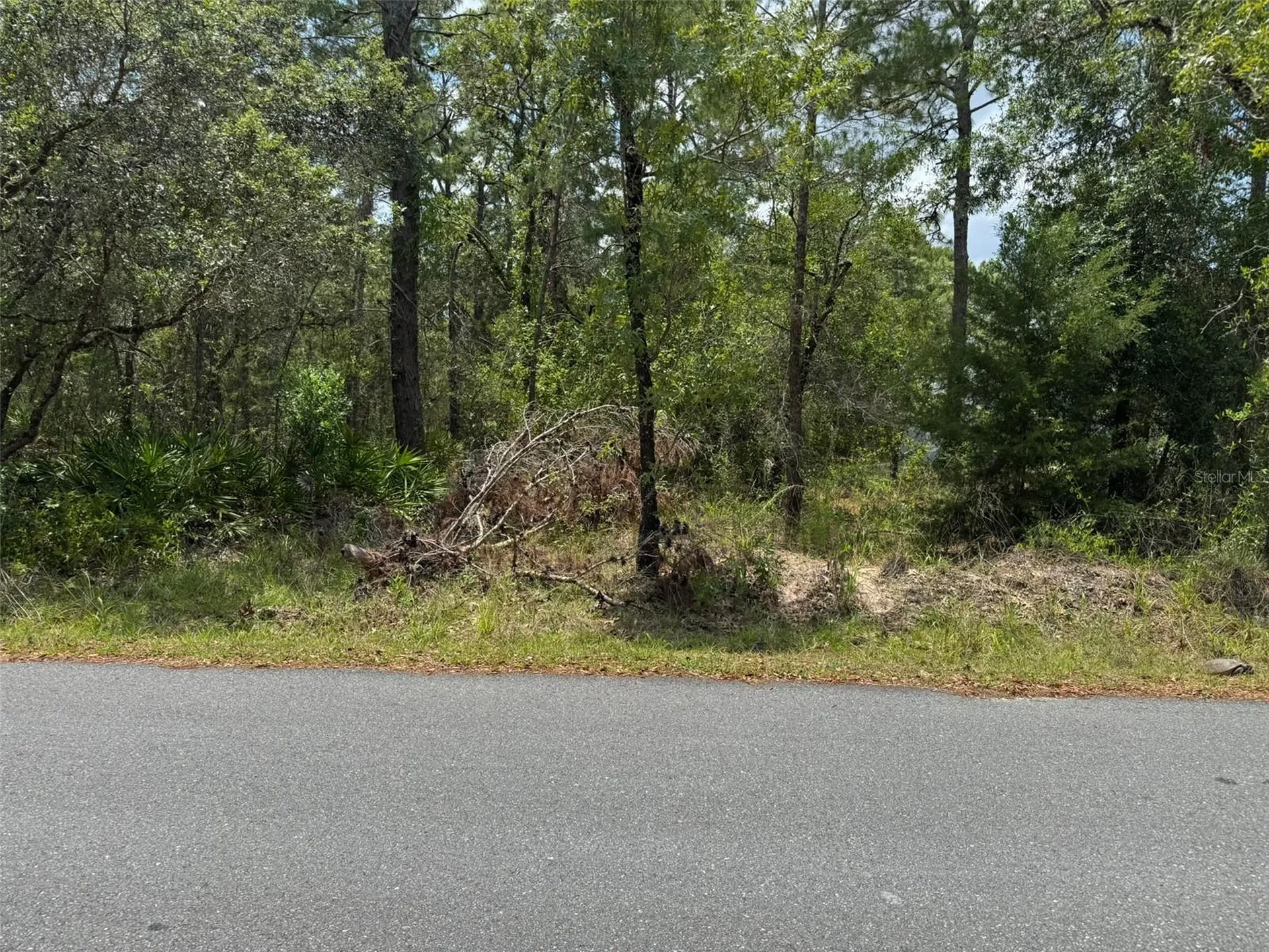Lot 62 Michigan Avenue Weeki Wachee FL 34613