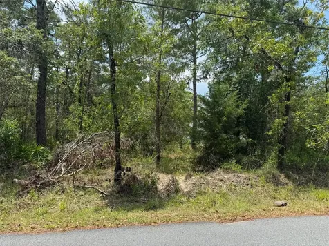 Lot 62 Michigan Avenue Weeki Wachee FL 34613