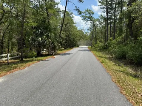 Lot 62 Michigan Avenue Weeki Wachee FL 34613