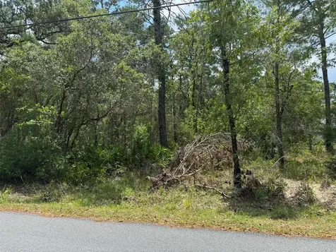 Lot 62 Michigan Avenue Weeki Wachee FL 34613