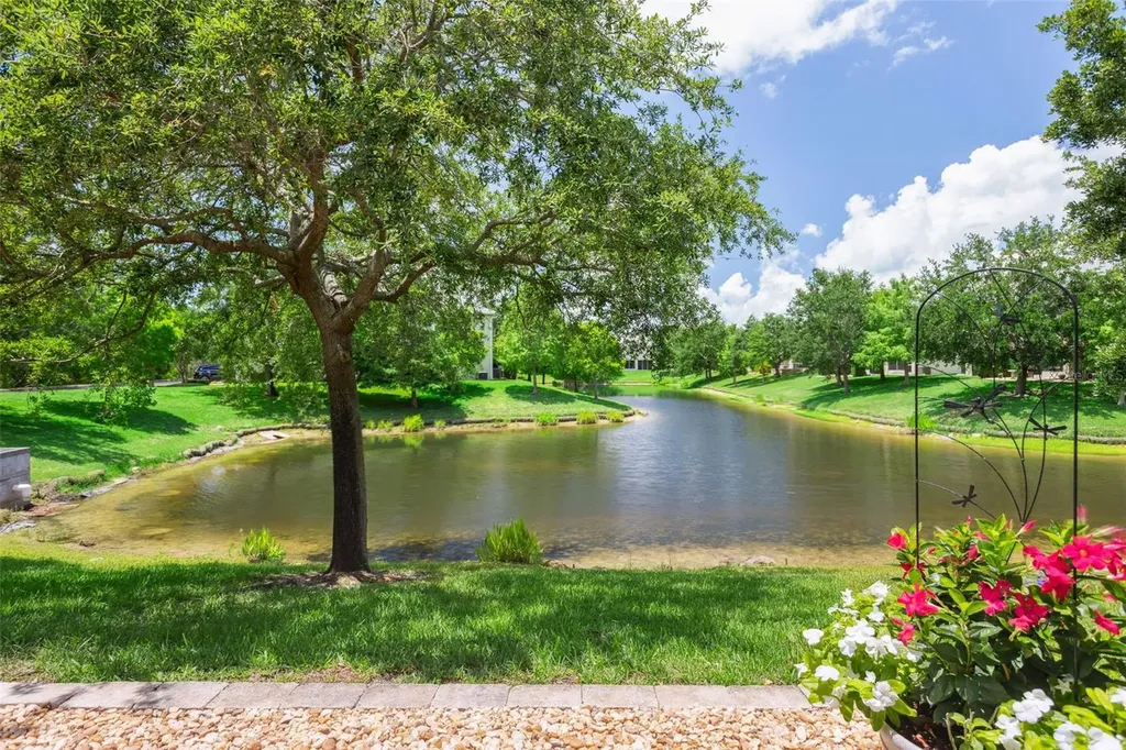 542 Harbor Ridge Drive Palm Harbor FL 34683
