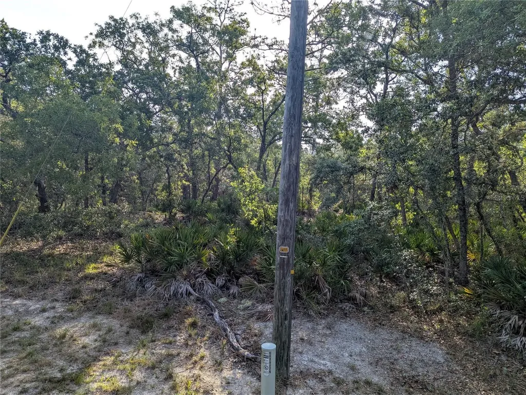 19036 Retriever Road Brooksville FL 34614