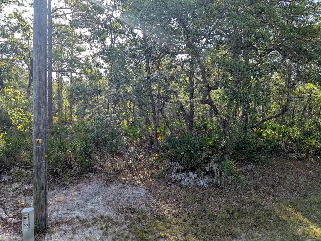 19036 Retriever Road Brooksville FL 34614