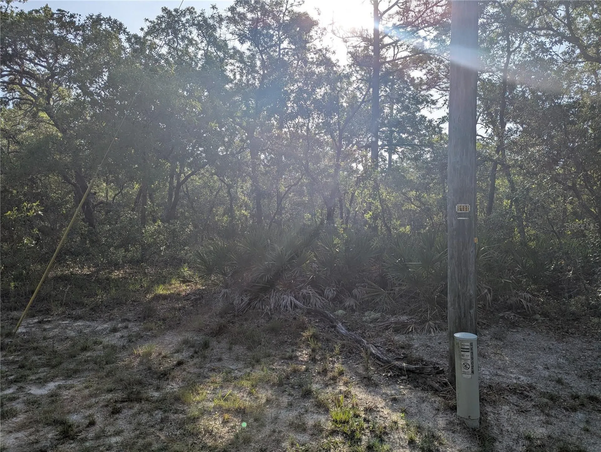19036 Retriever Road Brooksville FL 34614