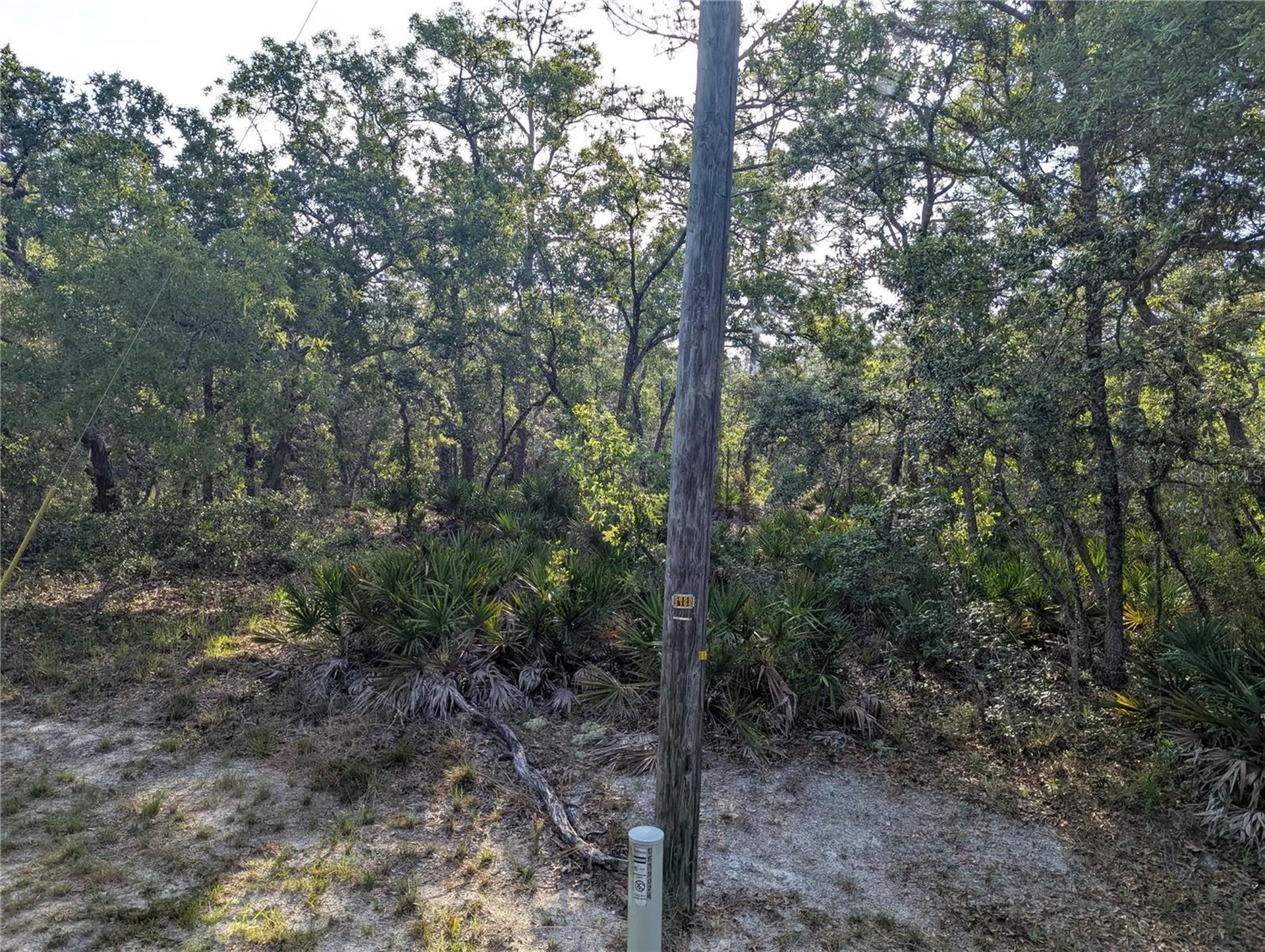 19036 Retriever Road Brooksville FL 34614
