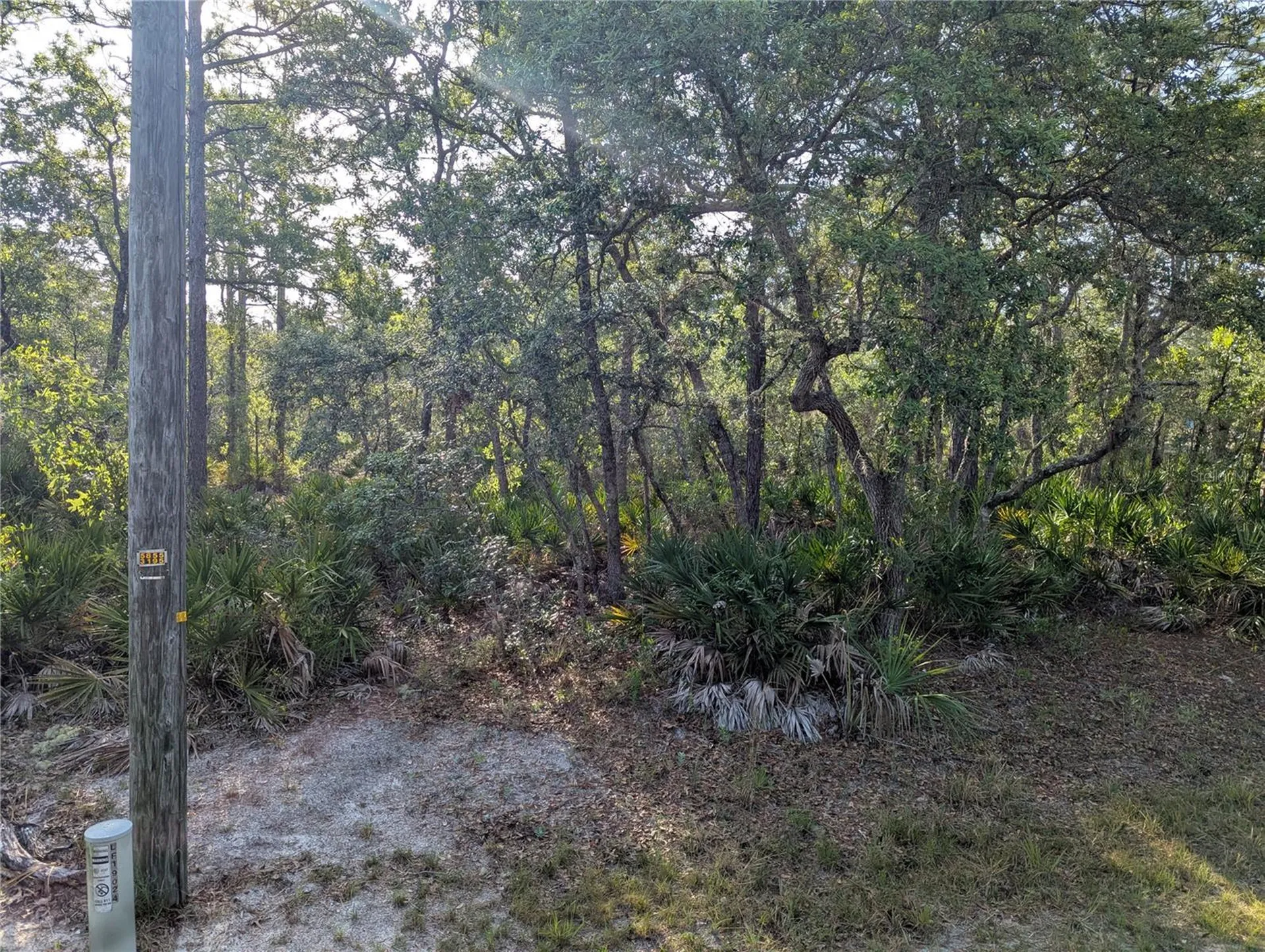 19036 Retriever Road Brooksville FL 34614