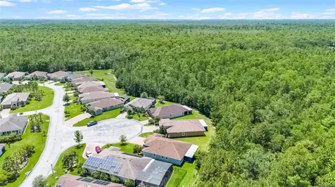 780 Mystic Hill Court Poinciana FL 34759