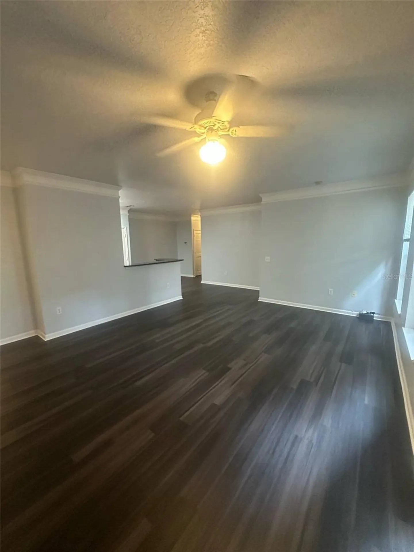 19935 Villa Isle Drive Orlando FL 32821