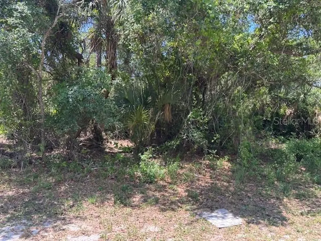 18423 Fremont Avenue Port Charlotte FL 33954