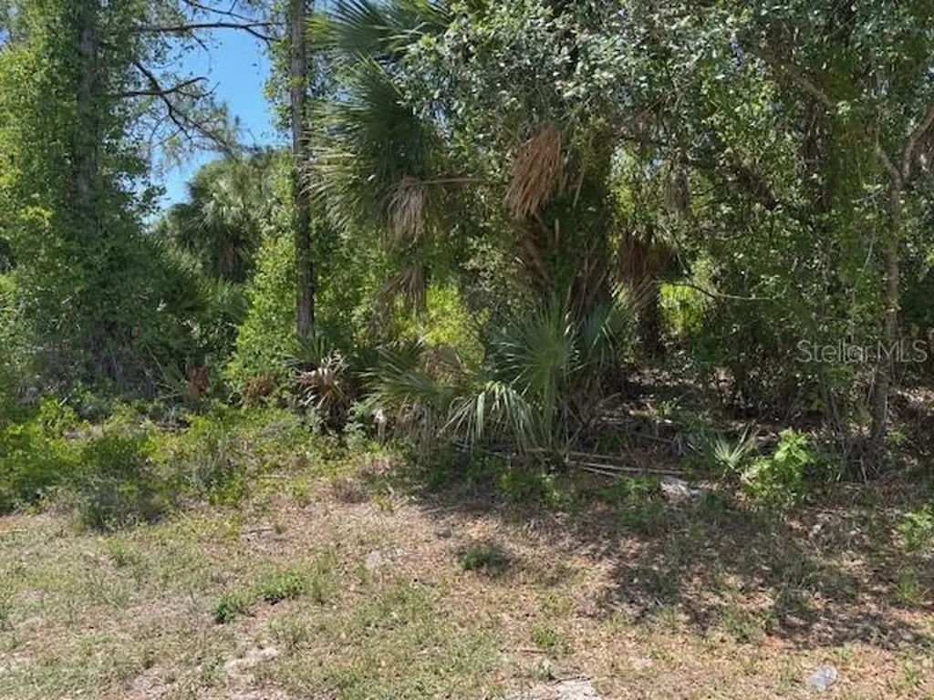 18423 Fremont Avenue Port Charlotte FL 33954
