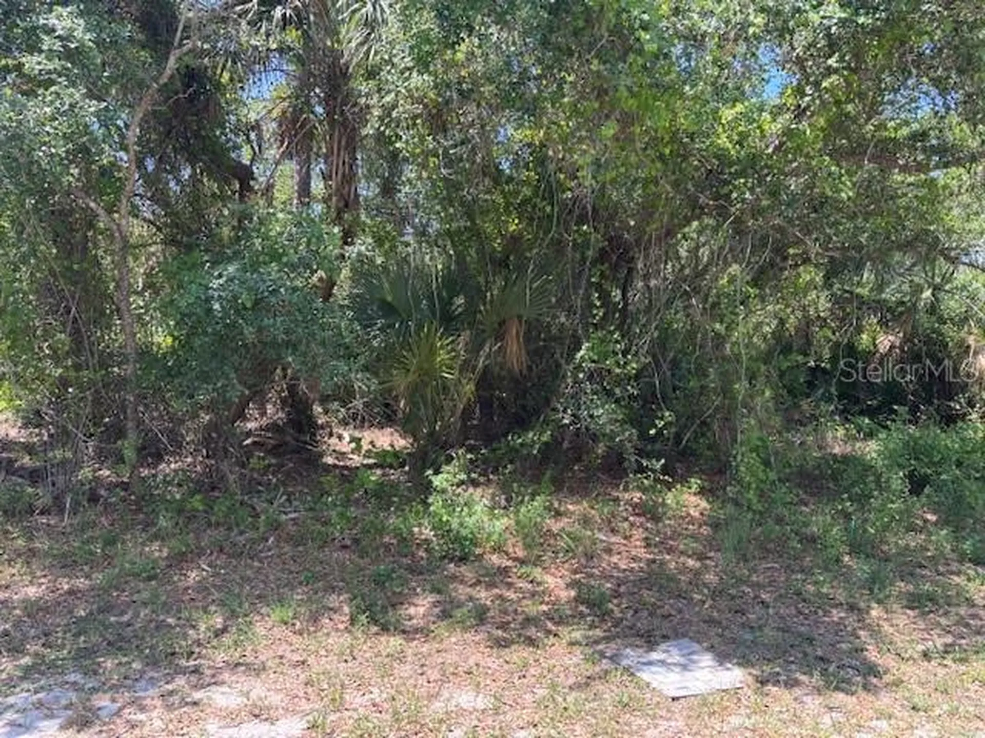 18423 Fremont Avenue Port Charlotte FL 33954