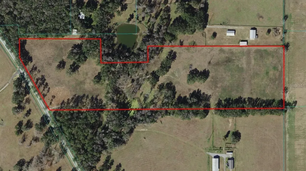 5201 W Highway 329 Reddick FL 32686