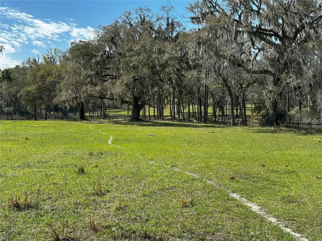 5201 W Highway 329 Reddick FL 32686