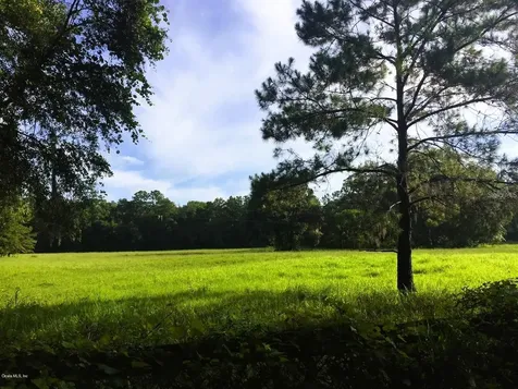 5201 W Highway 329 Reddick FL 32686