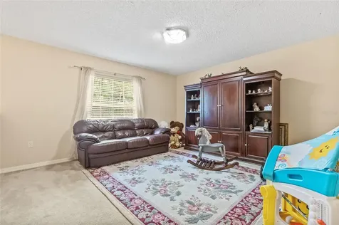 10311 Frog Pond Drive Riverview FL 33569