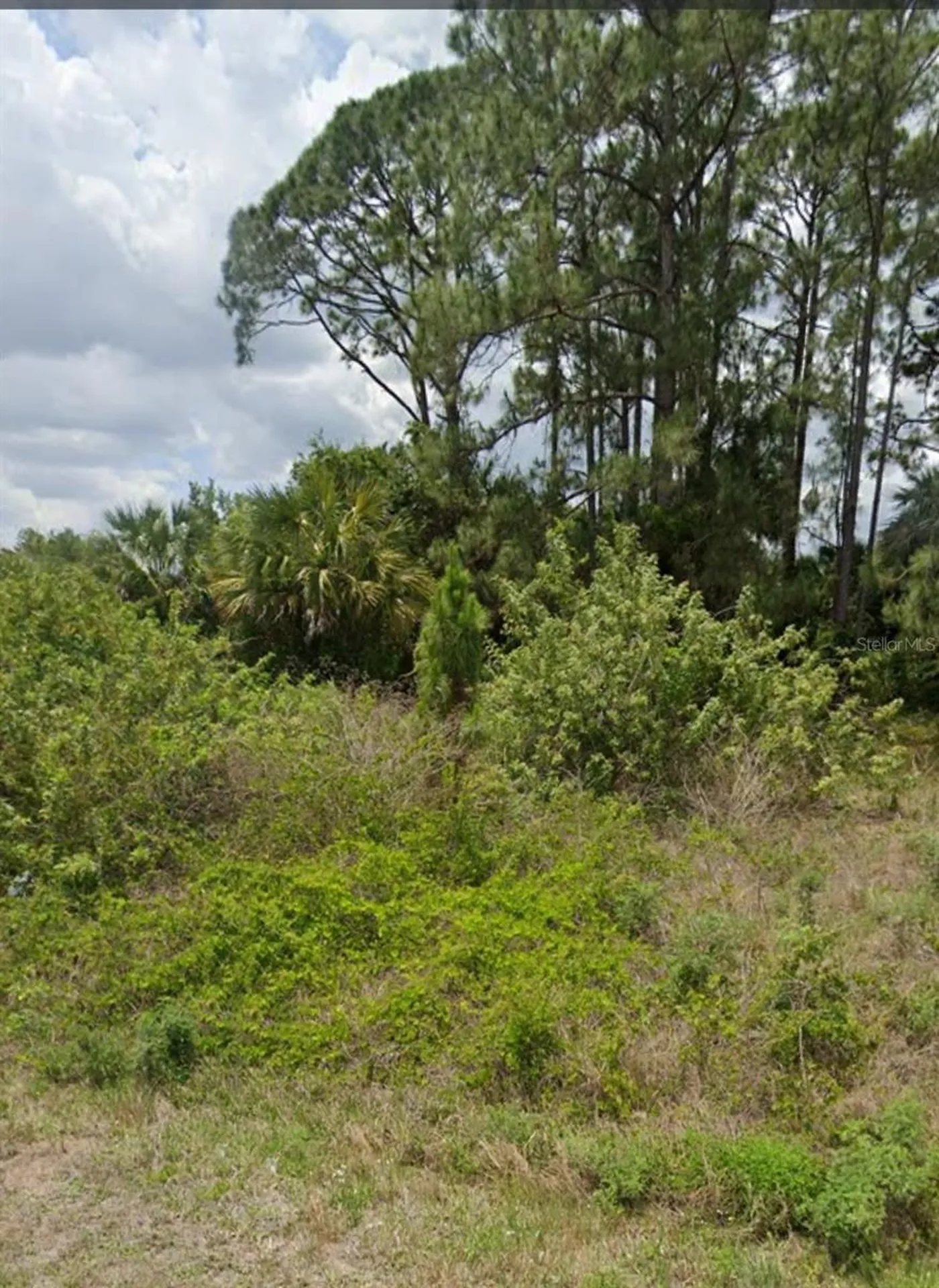 809 Gerald Avenue Lehigh Acres FL 33936