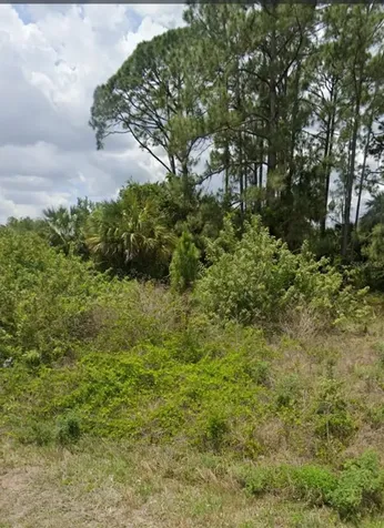 809 Gerald Avenue Lehigh Acres FL 33936