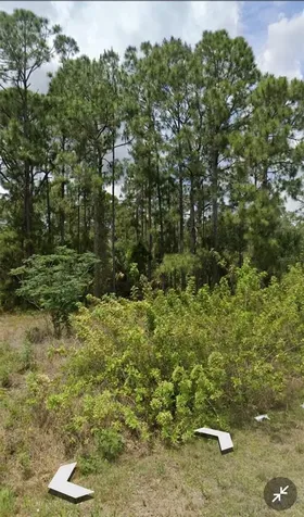 809 Gerald Avenue Lehigh Acres FL 33936