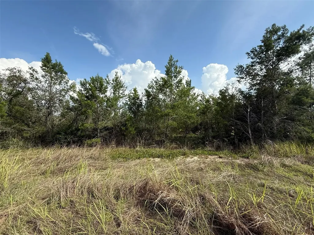 2921 W Seville Drive Avon Park FL 33825