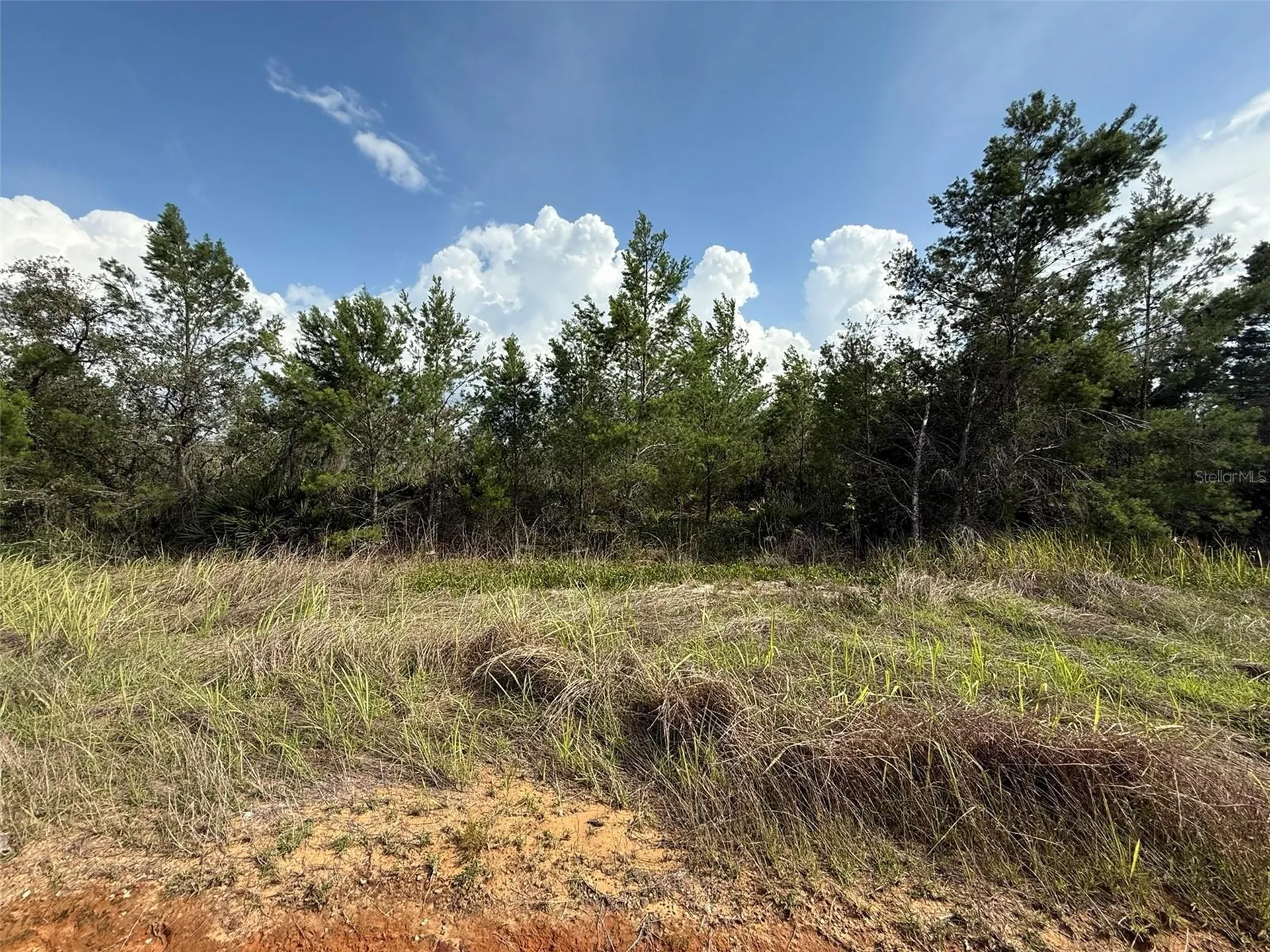 2921 W Seville Drive Avon Park FL 33825