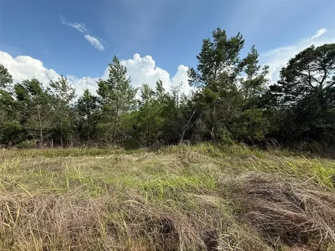 2921 W Seville Drive Avon Park FL 33825