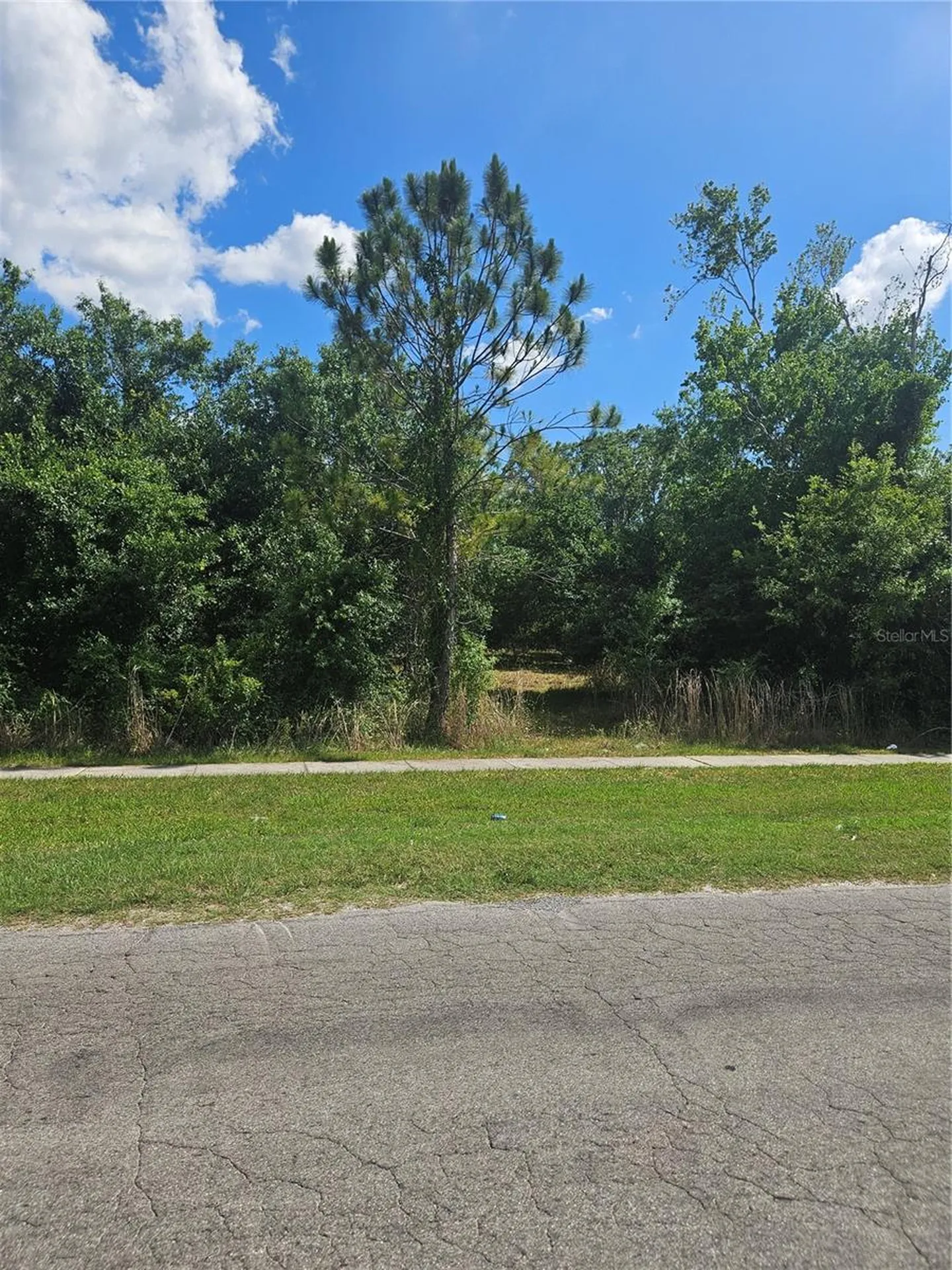 E Gibson Street Arcadia FL 34266