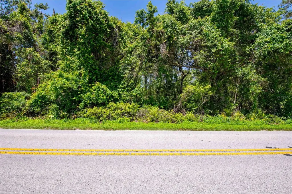 0 Emerson Road Brooksville FL 34601