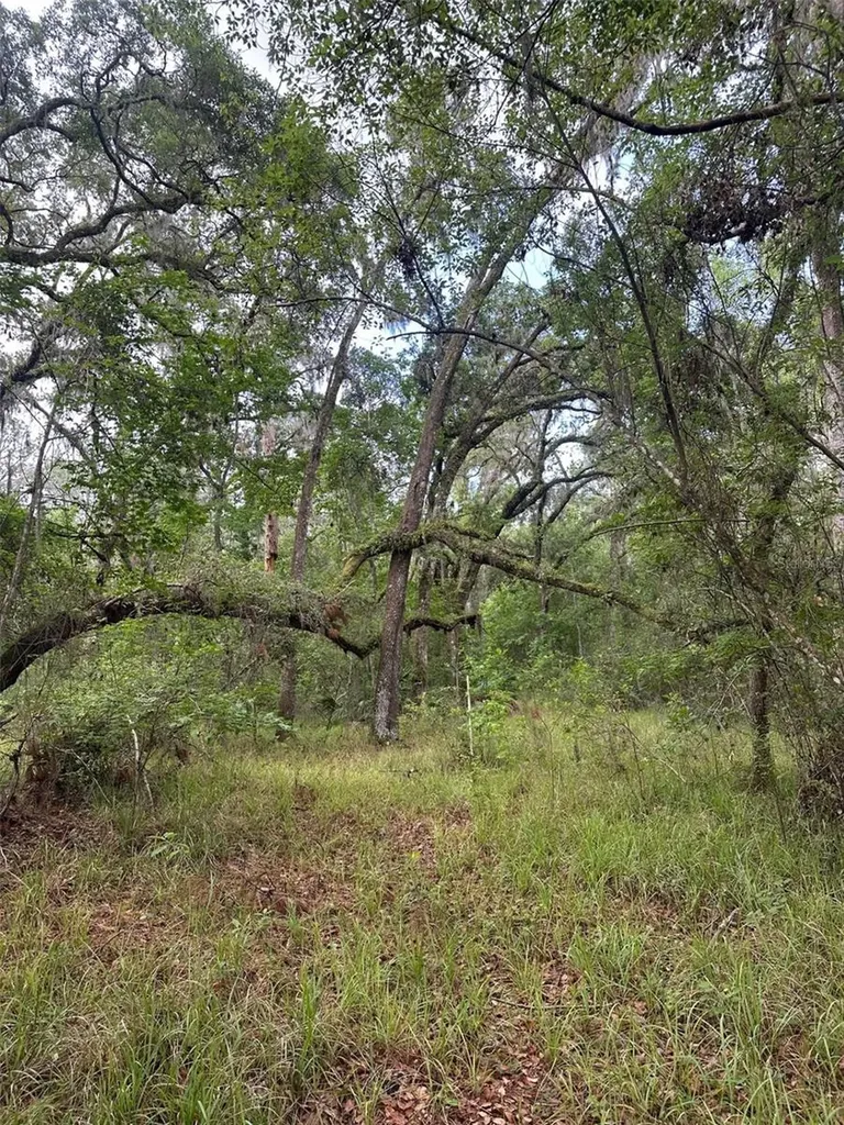 0 Emerson Road Brooksville FL 34601