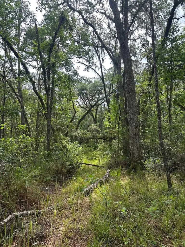 0 Emerson Road Brooksville FL 34601
