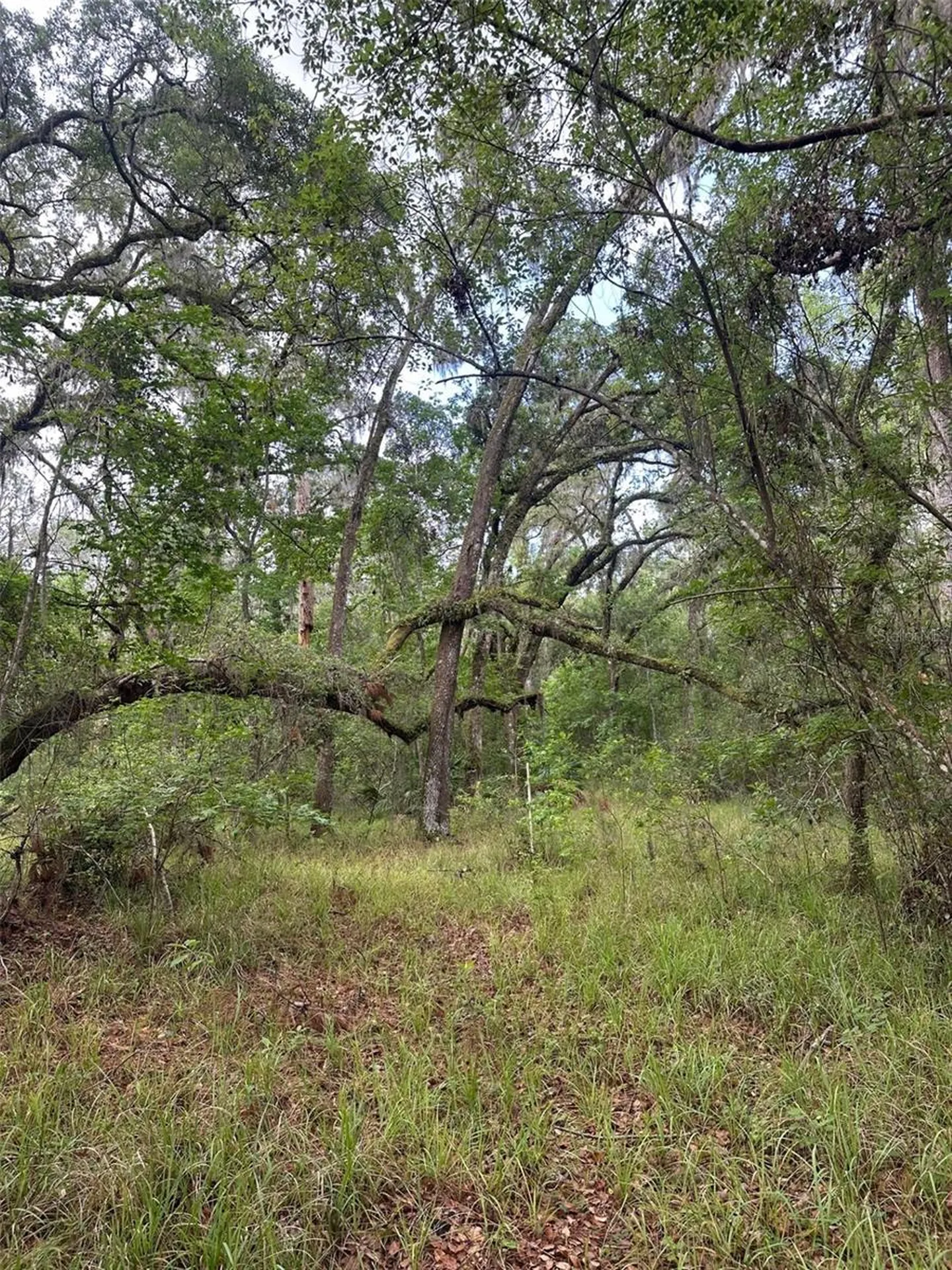 0 Emerson Road Brooksville FL 34601