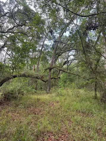 0 Emerson Road Brooksville FL 34601