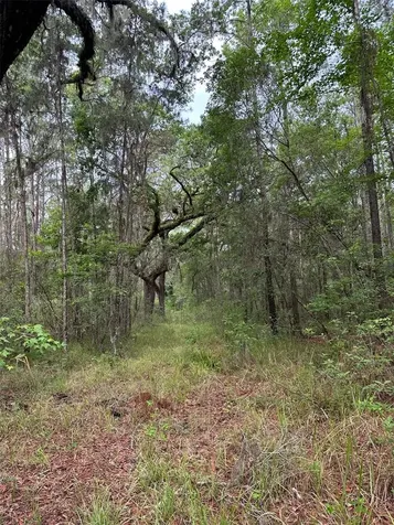 0 Emerson Road Brooksville FL 34601