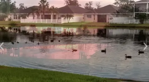5966 Willows Bridge Loop Ellenton FL 34222