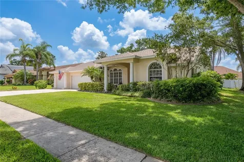627 Belted Kingfisher Drive N Palm Harbor FL 34683