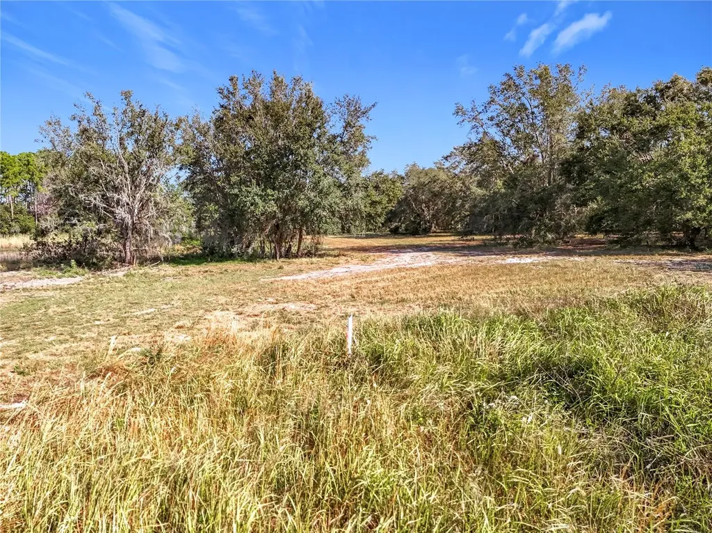 Pine Island Road Clermont FL 34711