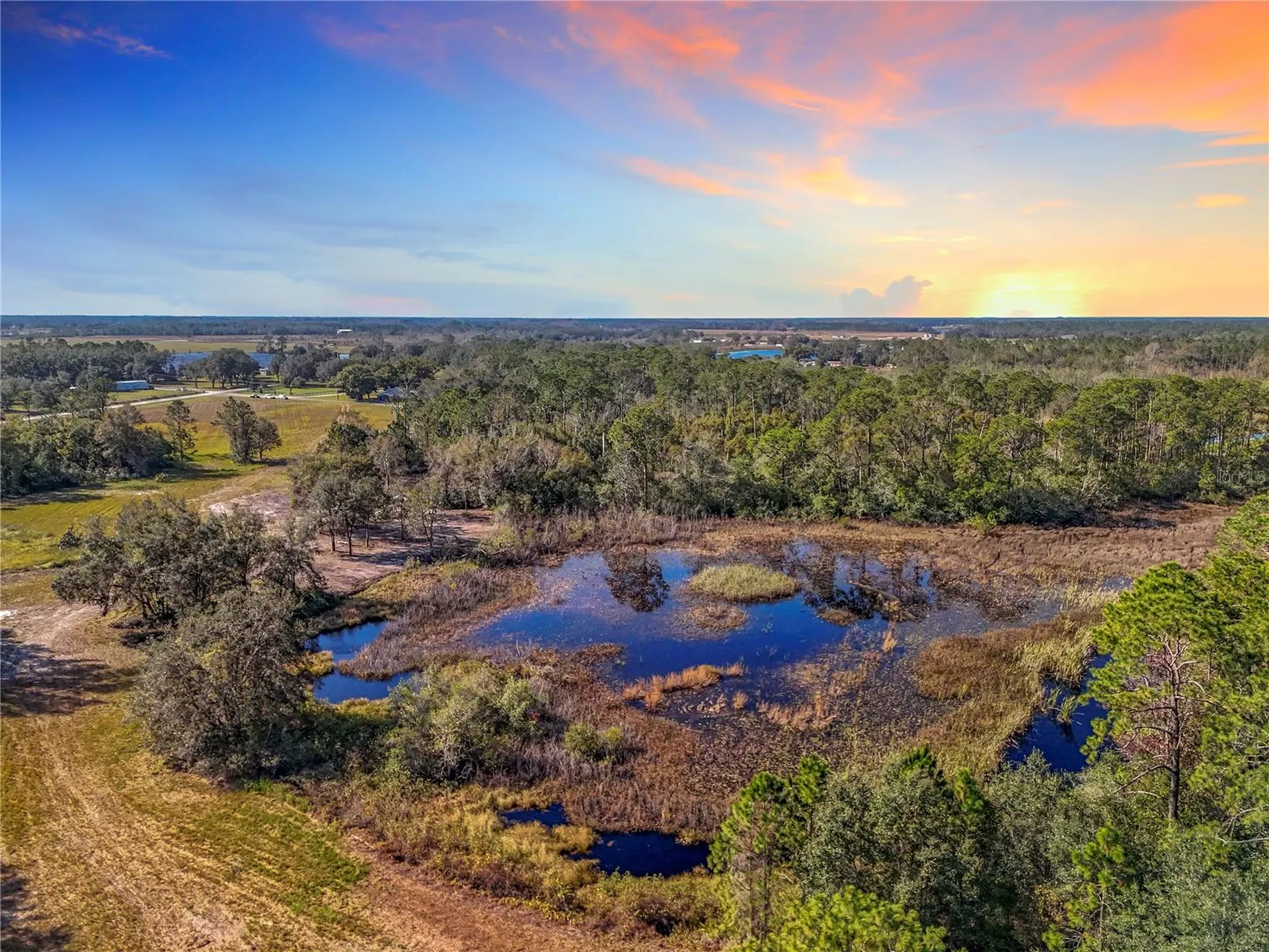 Pine Island Road Clermont FL 34711