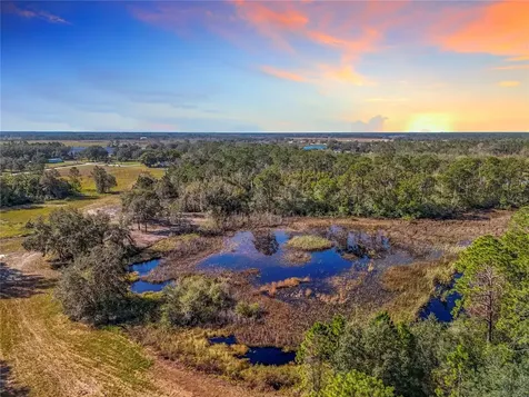 Pine Island Road Clermont FL 34711