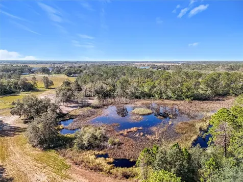 Pine Island Road Clermont FL 34711