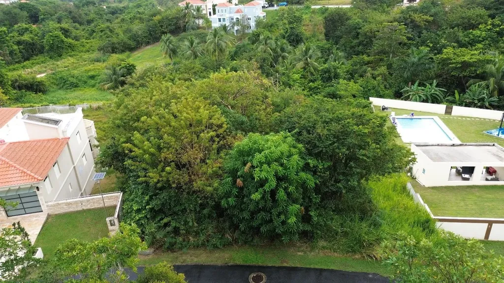 39 Cocoloba Humacao PR 00791