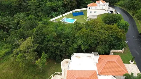 39 Cocoloba Humacao PR 00791