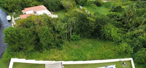 39 Cocoloba Humacao PR 00791
