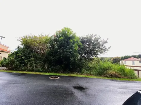 39 Cocoloba Humacao PR 00791
