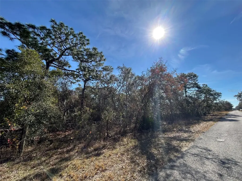 9940 Black Bear Lane Winter Garden FL 34787