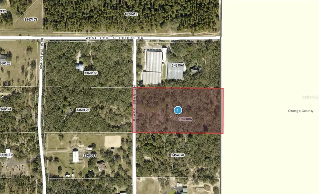 9940 Black Bear Lane Winter Garden FL 34787