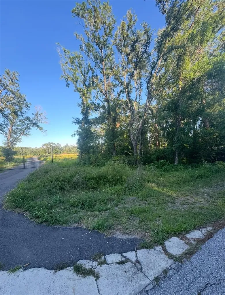 14805 Berkford Avenue Tampa FL 33625